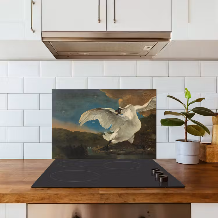 Spatscherm keuken - Zwaan - Oude meesters - Jan Asselijn — 3