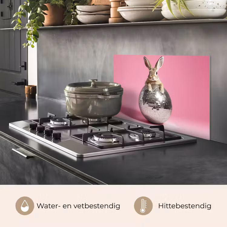 Spatscherm keuken - Haas - Strik -Discobal — 2