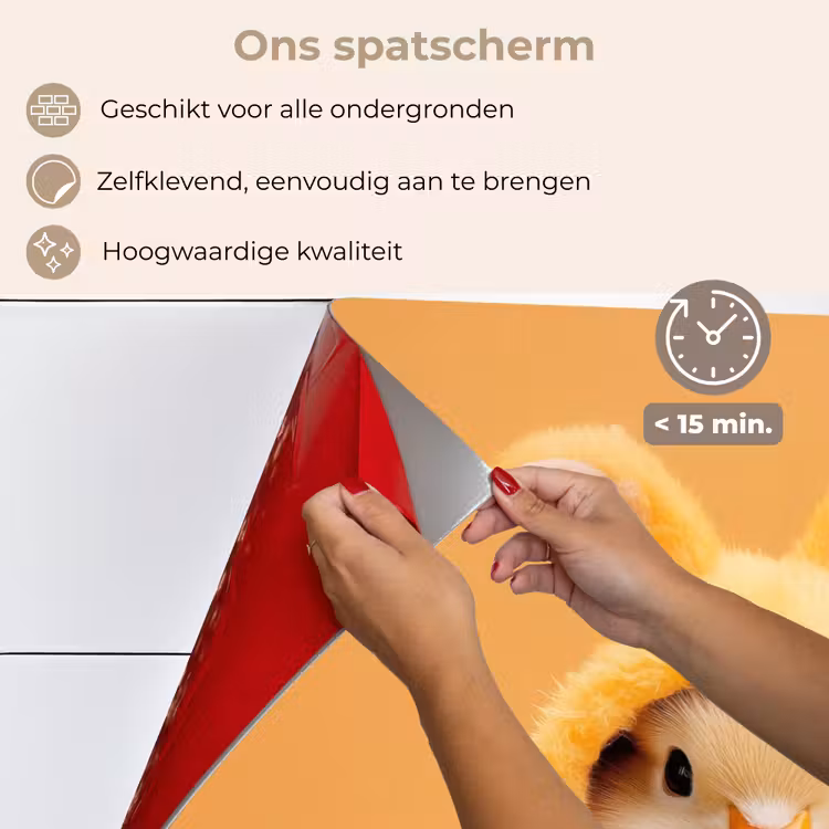 Spatscherm keuken - Paashaas - Kostuum - Eend — 4