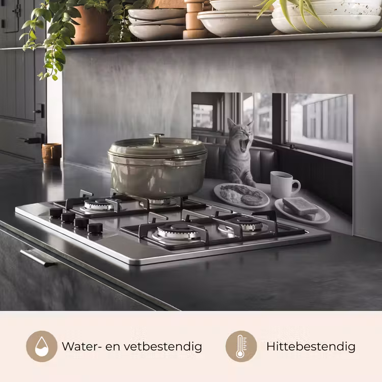 Spatscherm keuken - Kat - Koffie - Brood - Zwart — 2