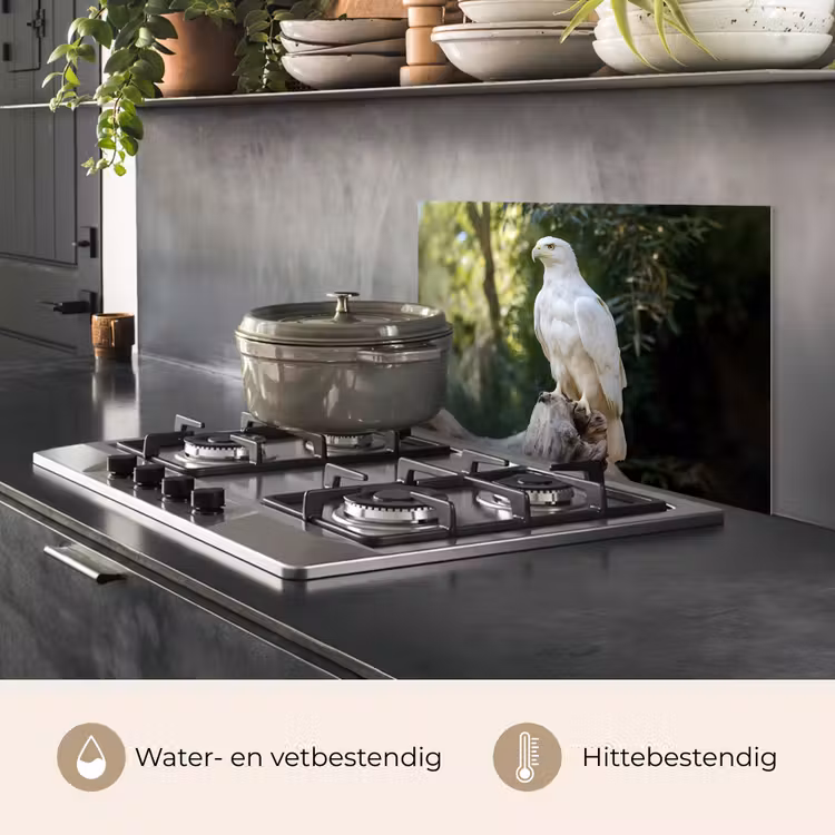 Spatscherm keuken - Arend - Hout - Wit - Planten — 2