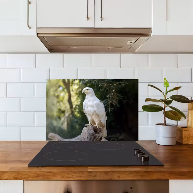 Spatscherm keuken - Arend - Hout - Wit - Planten — 3