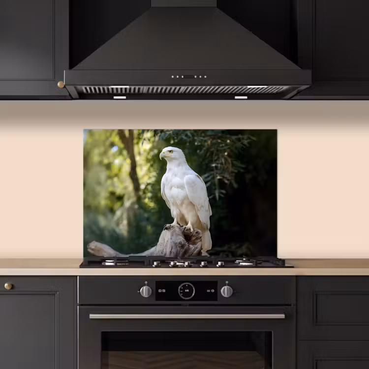 Spatscherm keuken - Arend - Hout - Wit - Planten — 5
