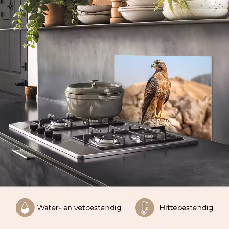 Spatscherm keuken - Valk - Vogel - Rots - Macht — 2