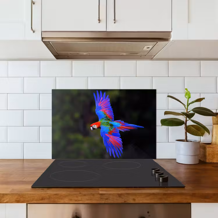 Spatscherm keuken - Felgekleurd - Papegaai - Bos - Vleugels — 3