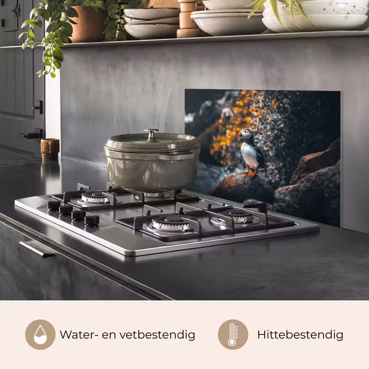 Spatscherm keuken - Papegaai - Vogel - Rots - Wit — 2