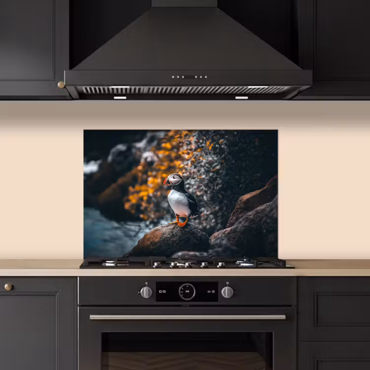 Spatscherm keuken - Papegaai - Vogel - Rots - Wit — 5