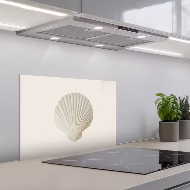 Spatscherm keuken - Schelp - Minimalistisch - Wit — 1
