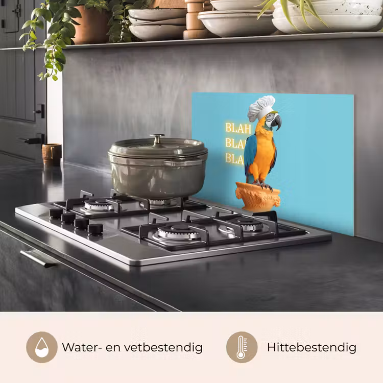Spatscherm keuken - Papegaai - Koksmuts - Quote - Neon — 2