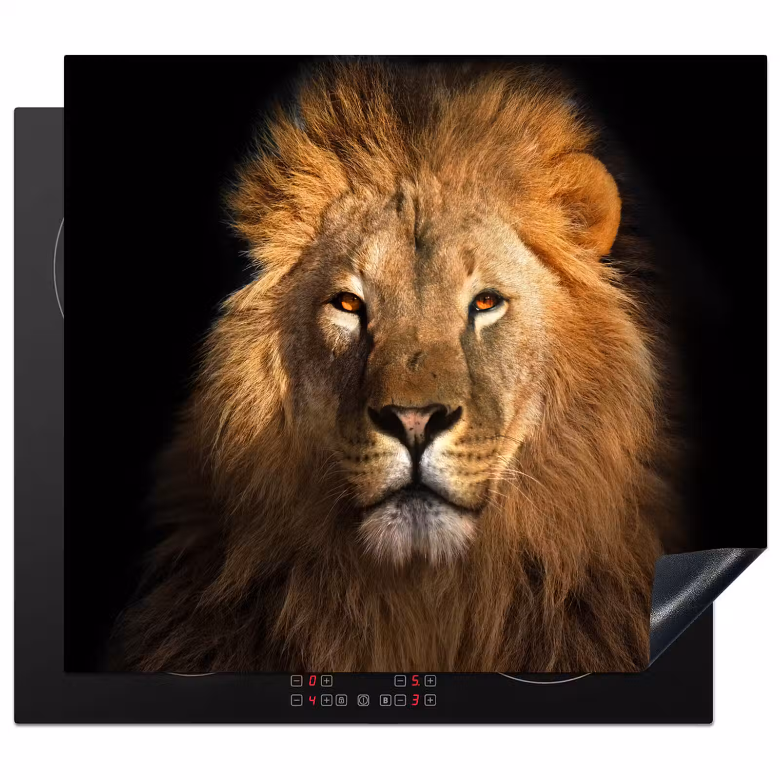 Inductie beschermer - Aureool van de Jungle — 1