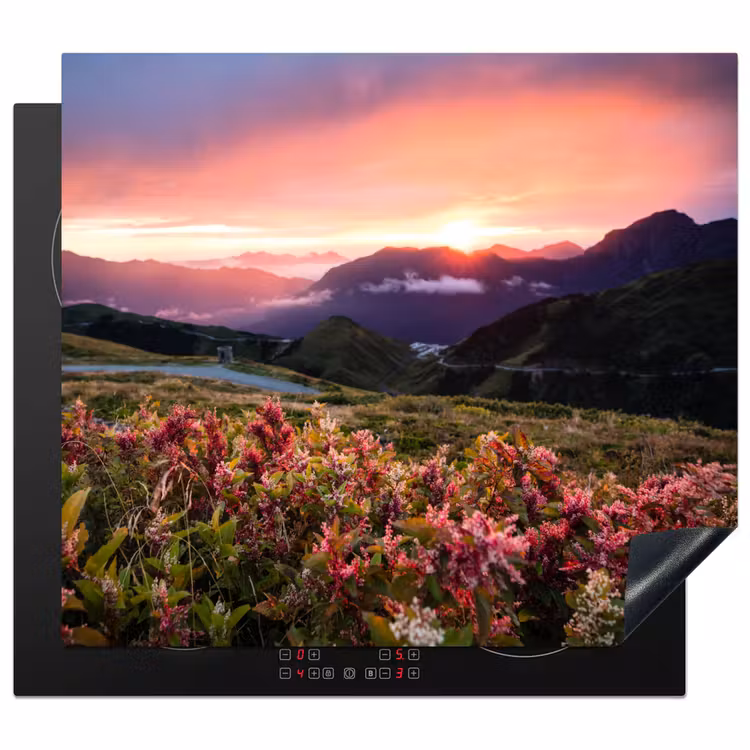 Inductie beschermer - Alpengloed en Wilde Bloemen — 1