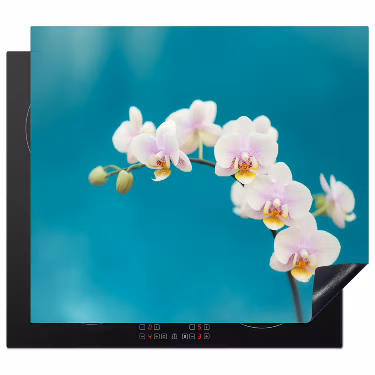 Inductie beschermer - Aqua Bliss Orchideeën — 1
