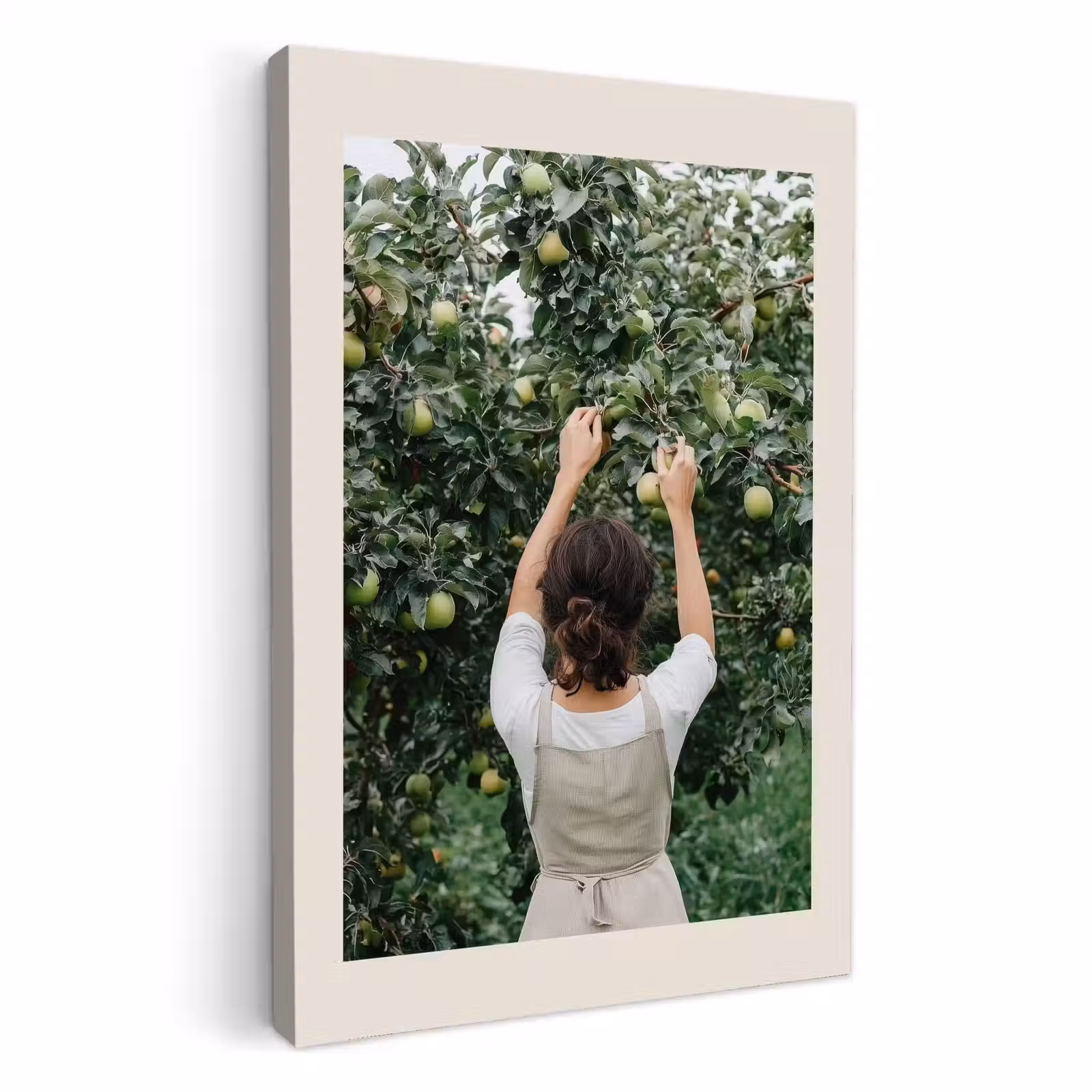 Canvas schilderij - Boom - Appels - Plukken - Natuur — 1