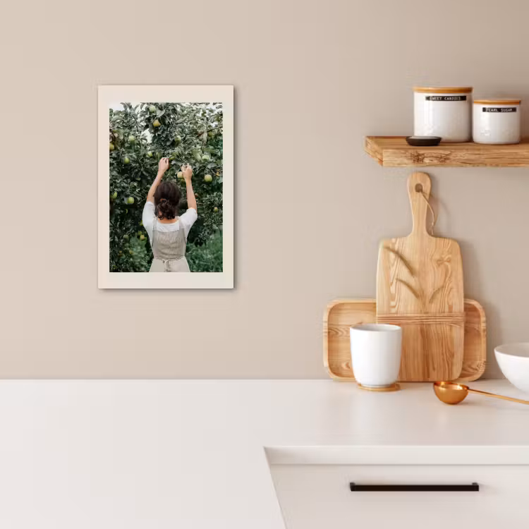 Canvas schilderij - Boom - Appels - Plukken - Natuur — 3