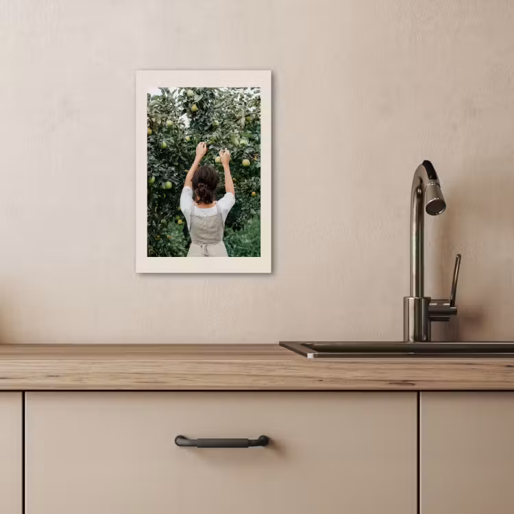 Canvas schilderij - Boom - Appels - Plukken - Natuur — 4