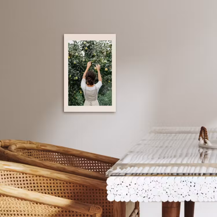Canvas schilderij - Boom - Appels - Plukken - Natuur — 5