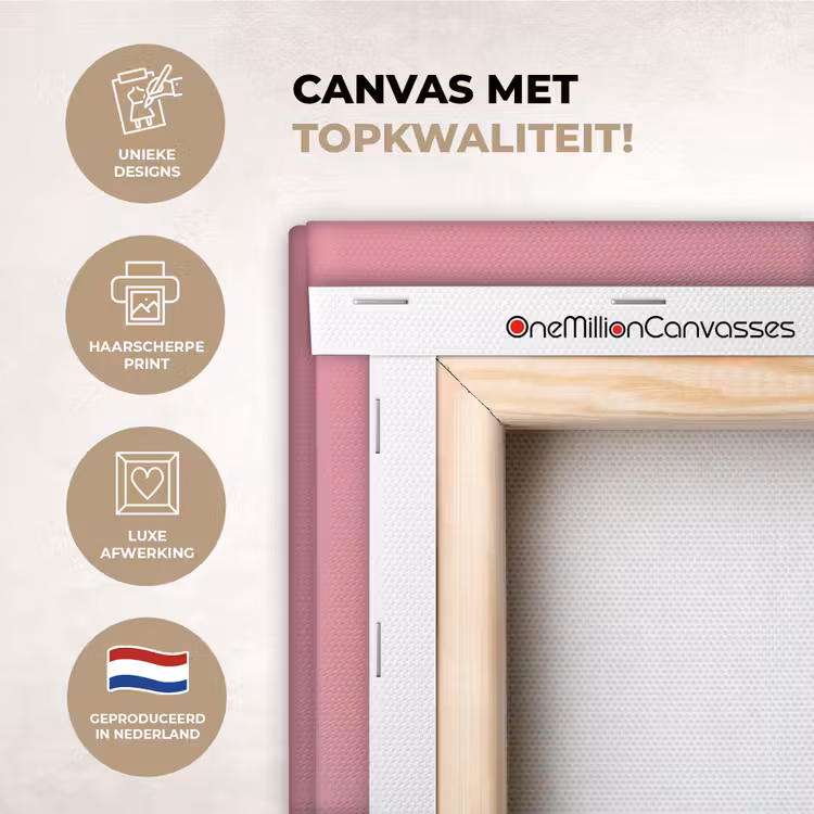 Canvas schilderij - Flamingo - Roze - Koksmuts - Vogel — 3
