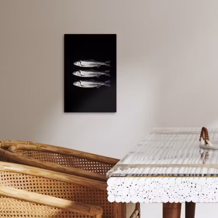 Canvas schilderij - Haring - Vissen - Zwart — 3