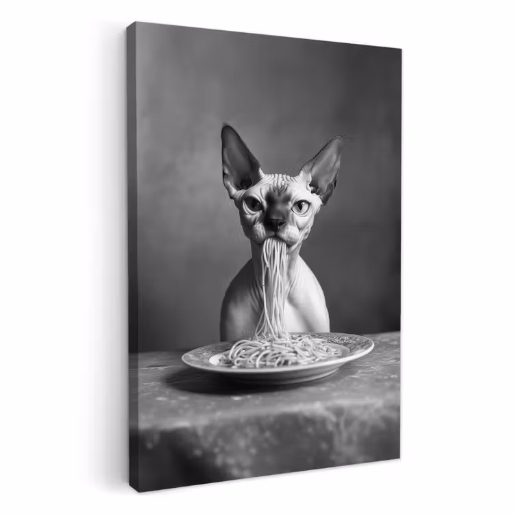 Canvas schilderij - Sphynx - Kat - Dieren - Humor - Spaghetti - Zwart Wit — 1