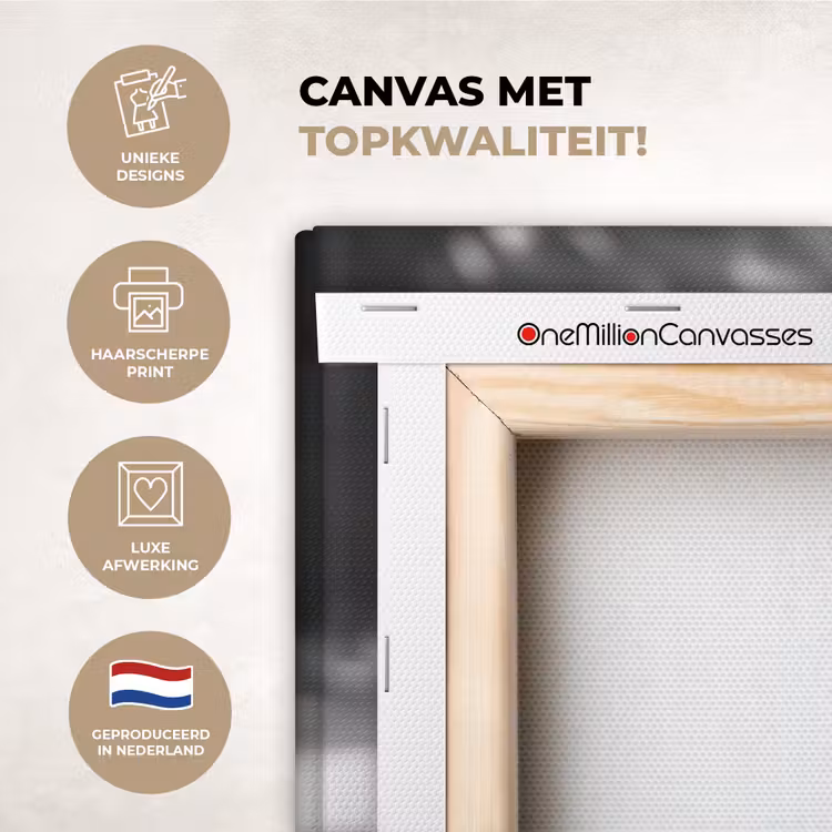 Canvas schilderij - Aap - Spaghetti - Zonnebril - Zwart wit - Cool - Dier — 2