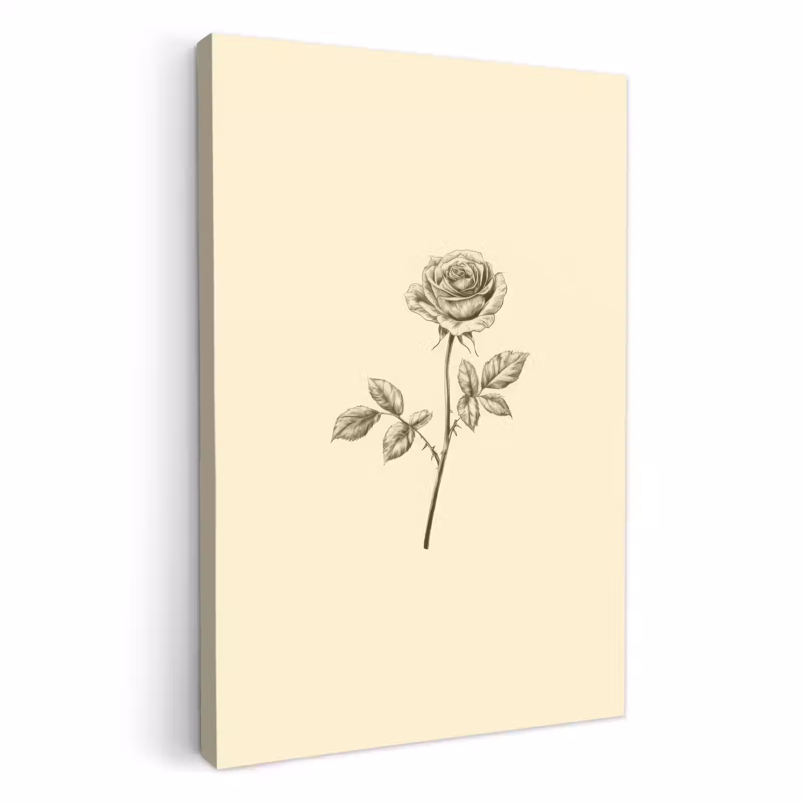 Canvas schilderij - Illustratie - Zwart - Roos — 1