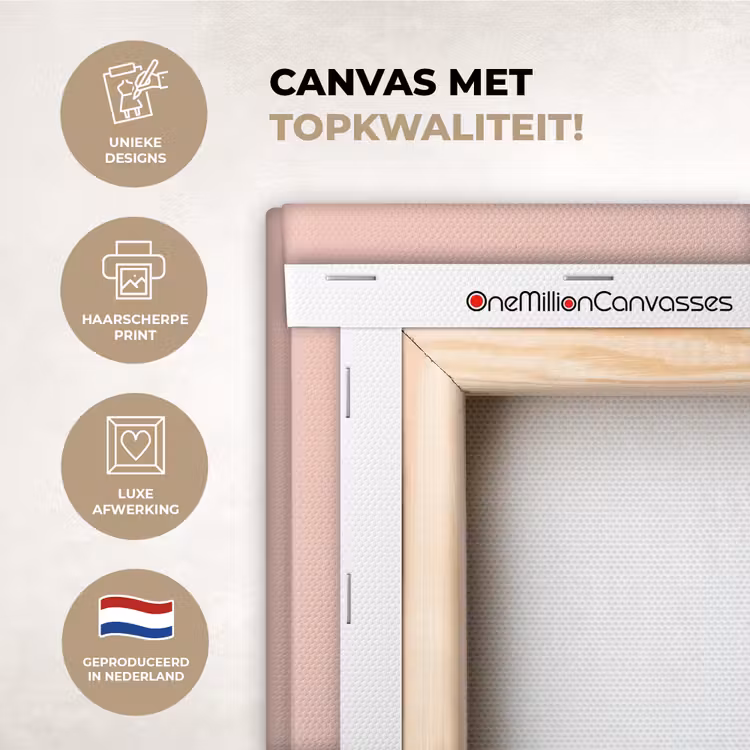 Canvas schilderij - Watermeloen - Ijsje - Pitjes - Rood — 1