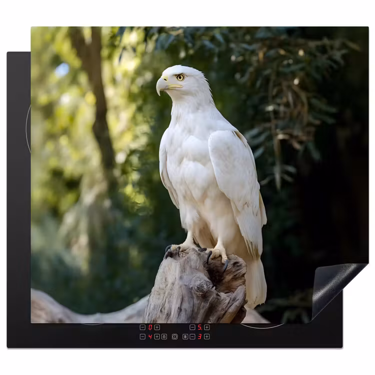 Inductie beschermer - Arend - Hout - Wit - Planten — 1