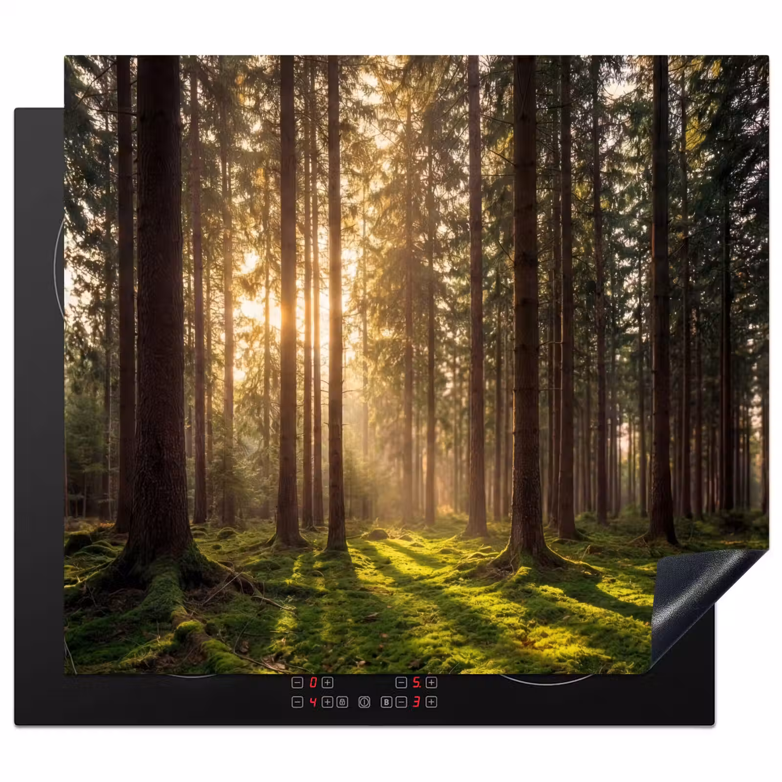 Inductie beschermer - Bos - Gras - Zonlicht — 1