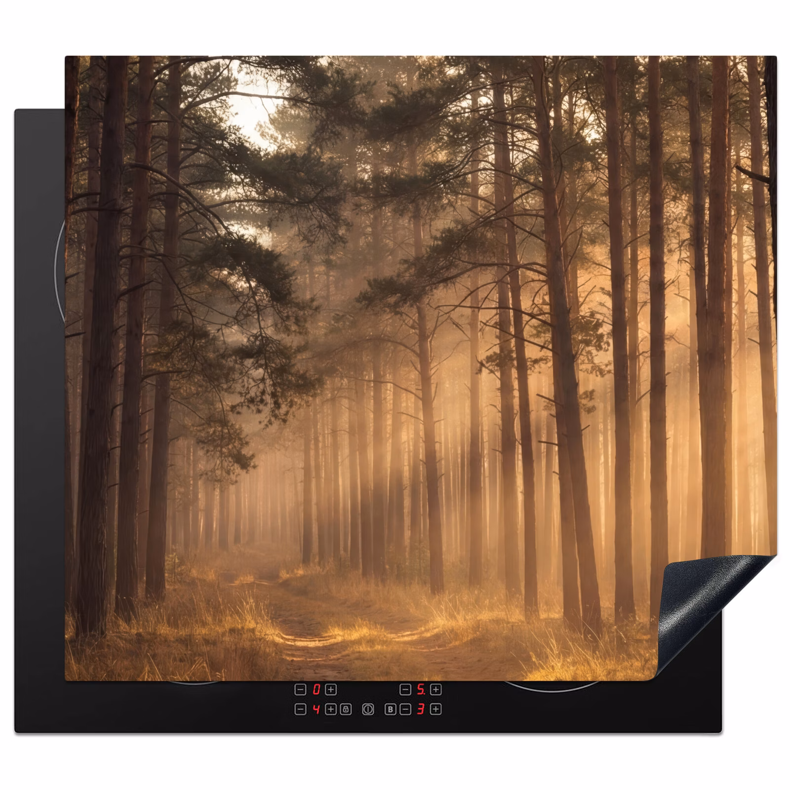 Inductie beschermer - Bos - Mist - Zonlicht — 1