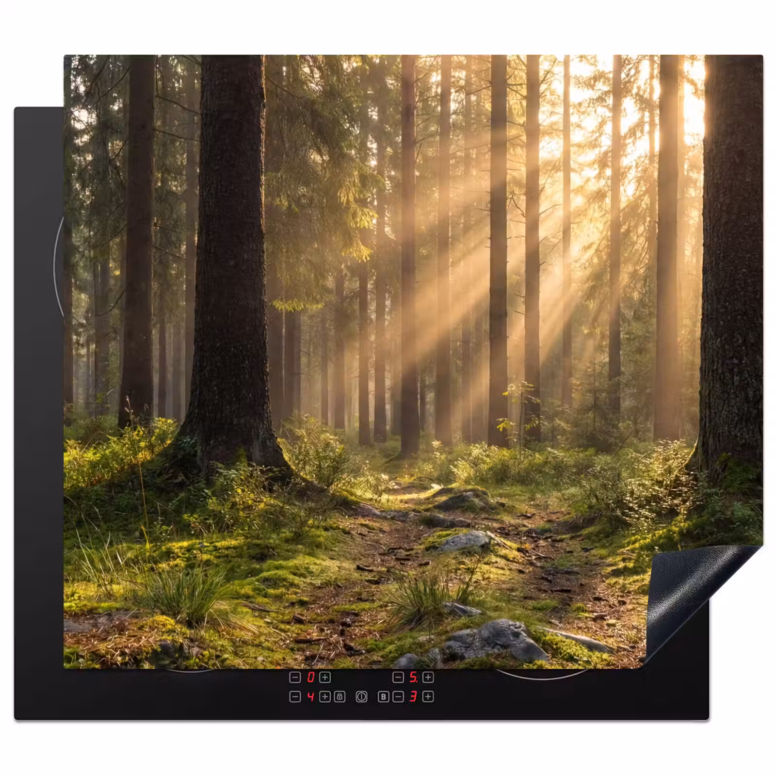 Inductie beschermer - Bos - Zonlicht - Gras — 1