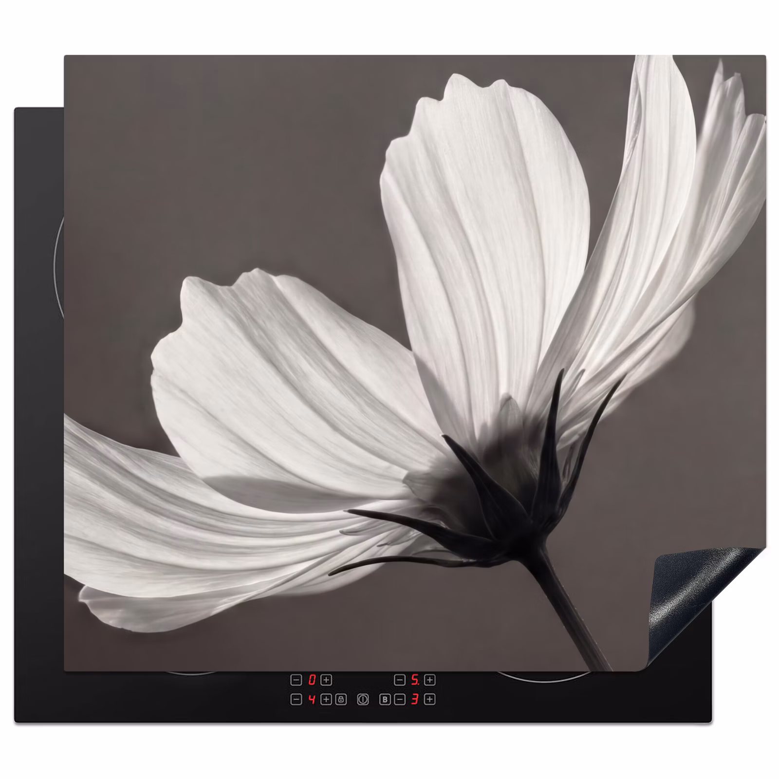 Inductie beschermer - Bloem - Minimalistisch - Zwart - Wit — 1