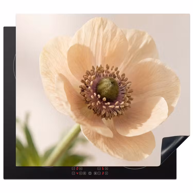 Inductie beschermer - Bloem - Minimalistisch - Groen — 1