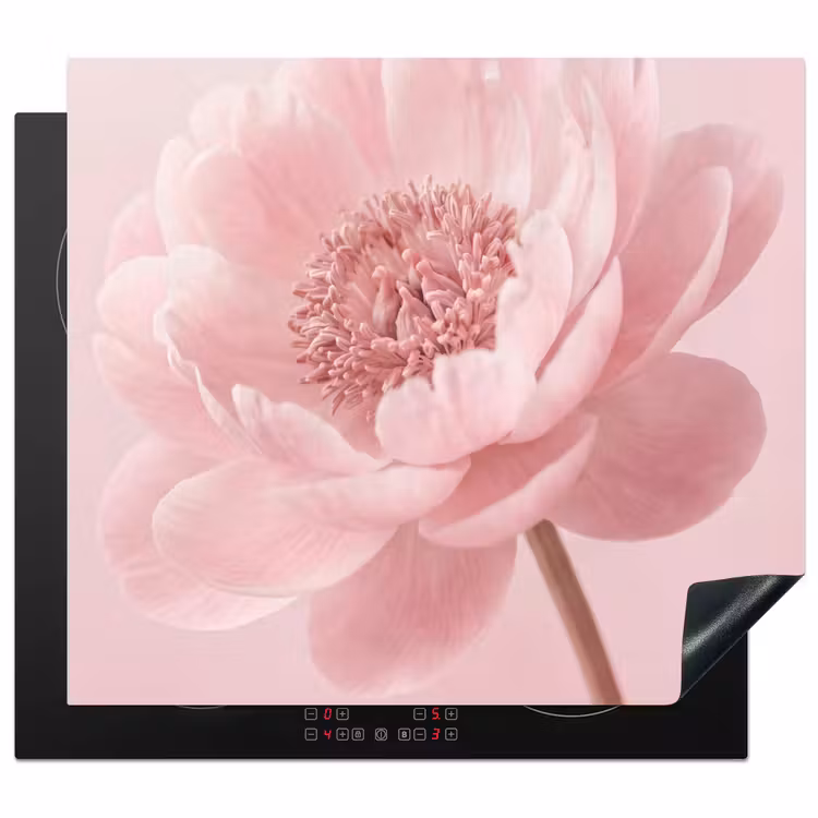 Inductie beschermer - Bloem - Pioenroos - Roze — 1