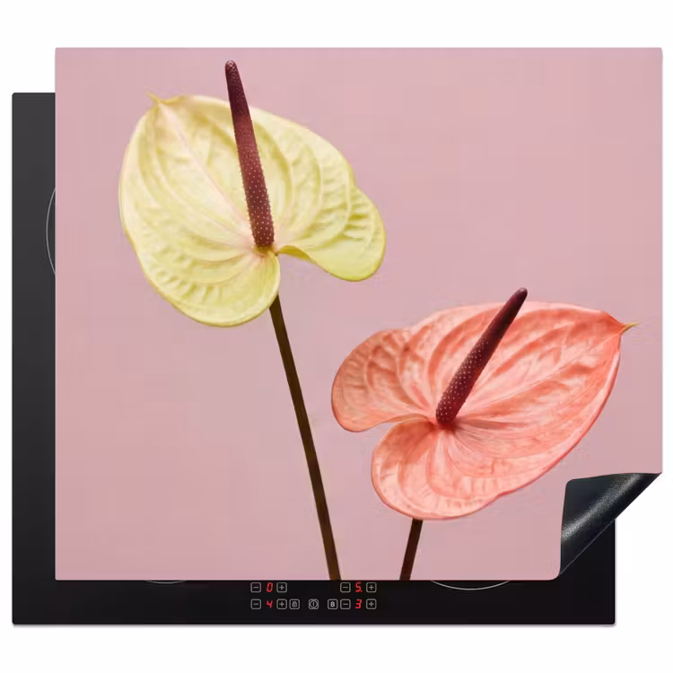 Inductie beschermer - Bloemen - Anthuriums - Geel - Roze — 1