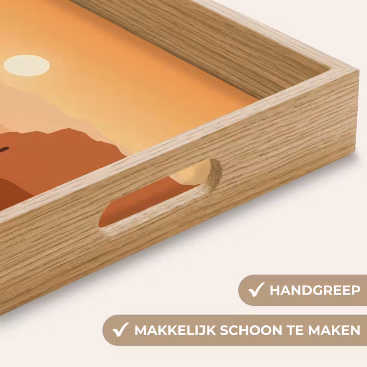 Dienblad - Landschap - Woestijn - Cactussen - Zon — 8