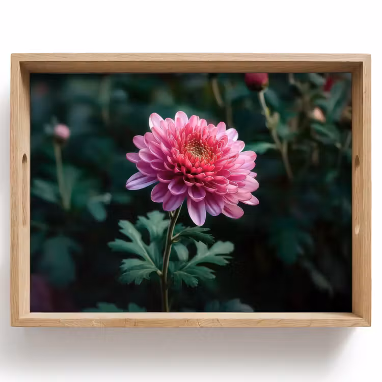 Dienblad - Blad - Chrysant - Roze - Schaduw — 1
