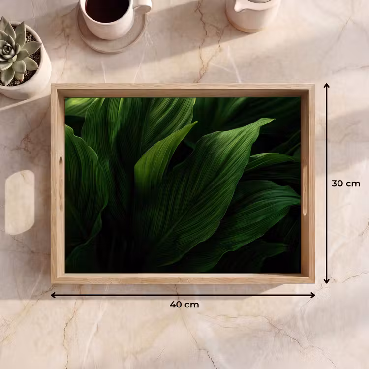 Dienblad - Bladeren - Schaduw - Groen - Textuur — 7