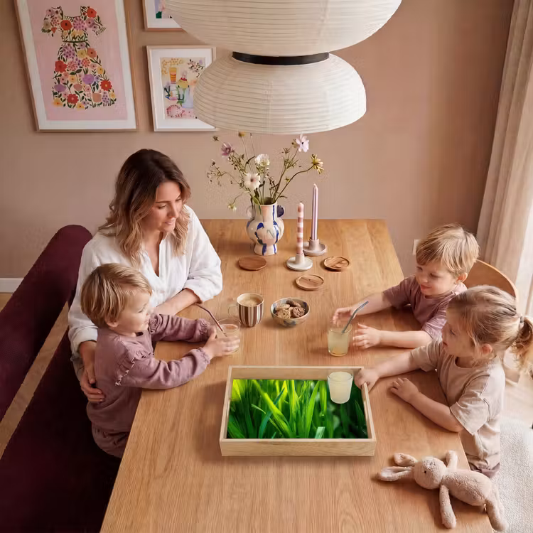 Dienblad - Grassprieten - Lichtinval - Groen — 5