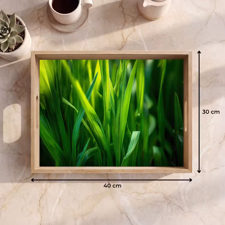 Dienblad - Grassprieten - Lichtinval - Groen — 7