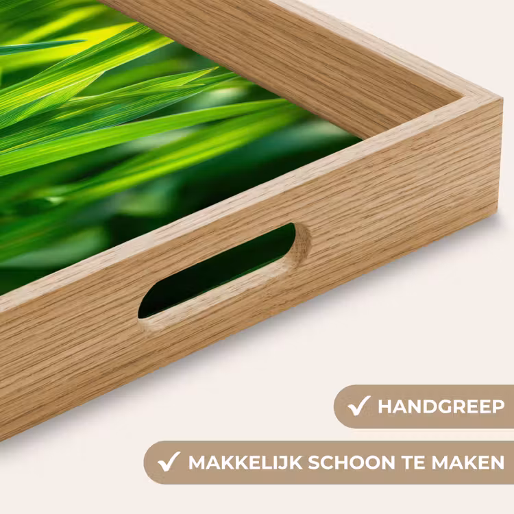 Dienblad - Grassprieten - Lichtinval - Groen — 8
