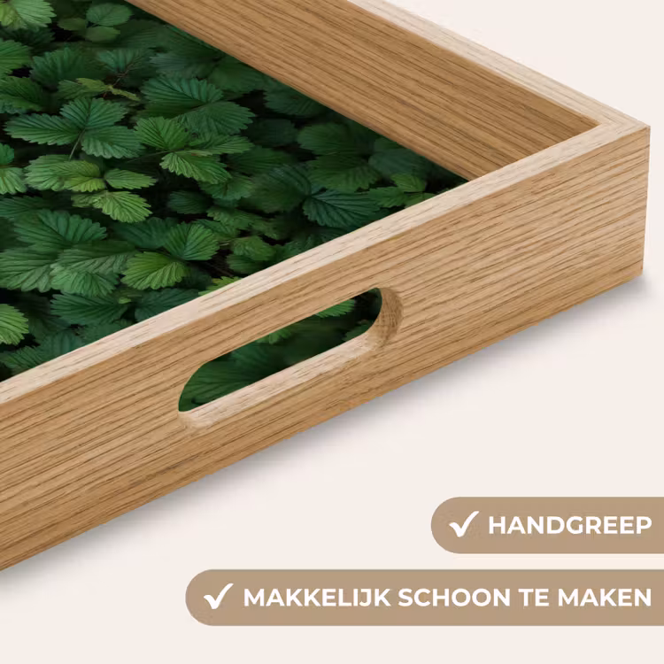 Dienblad - Groen - Bladeren - Kartel - Zonlicht — 8