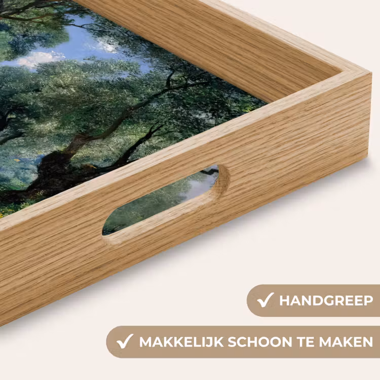 Dienblad - Pad - Bomen - Schaduw - — 8