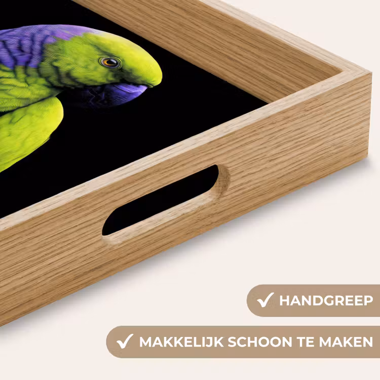 Dienblad - Papegaai - Veren - Opvallend - Groen — 8