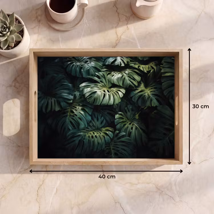 Dienblad - Plant - Monstera - Lichtinval — 7