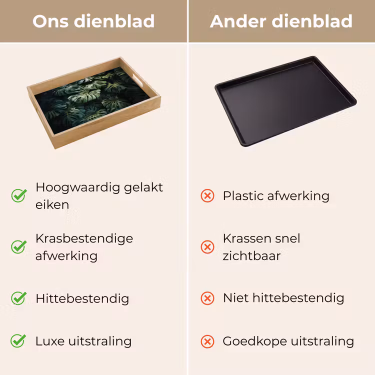 Dienblad - Plant - Monstera - Lichtinval — 9