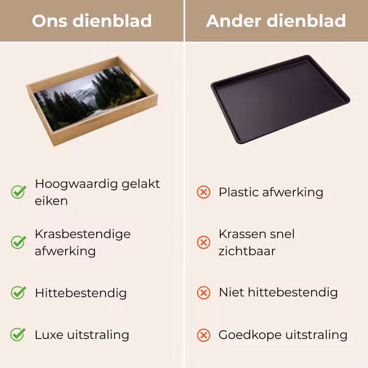 Dienblad - Sparrenbos - Weg - Bergen - Sneeuw — 9