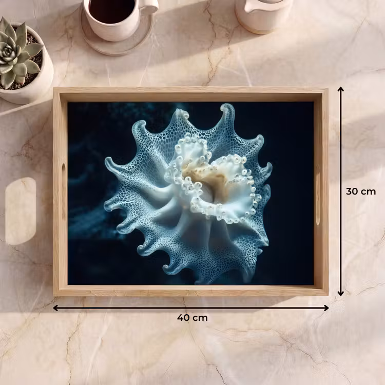 Dienblad - Zeewezen - Wit - Golven - Water — 7