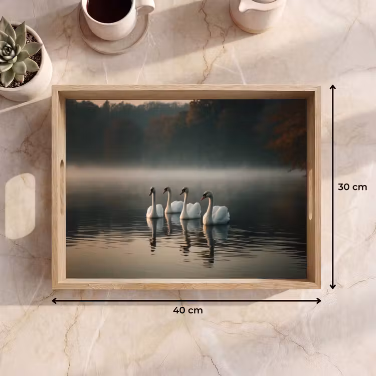 Dienblad - Zwanen - Wit - Water - Mist — 7