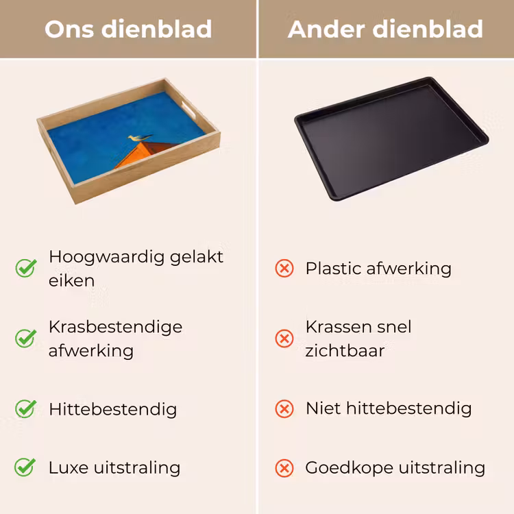Dienblad - Meeuw - Gebouw - Lucht - Geschilderd — 9