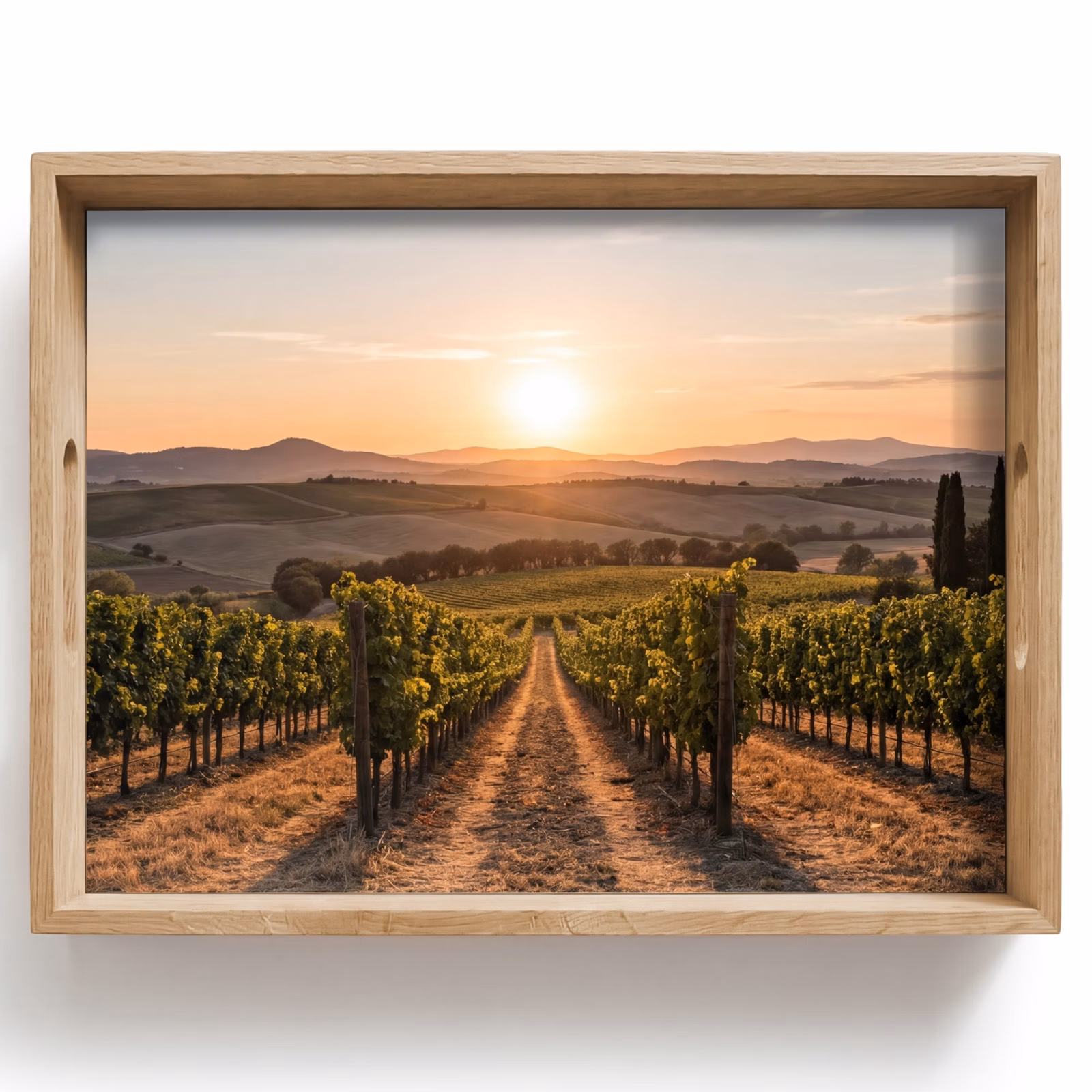 Dienblad - Wijngaard - Zonsondergang - Landschap — 1